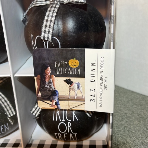 Rae Dunn Pumpkin Decor Bundle - Picture 8 of 8